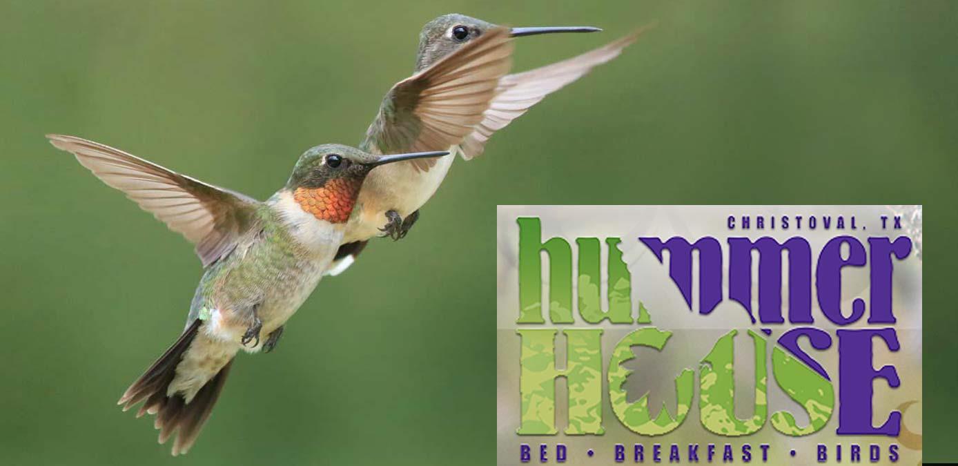 THE HUMMER HOUSE